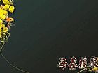 1.76ݵ㾫Ʒ,֮ʵ